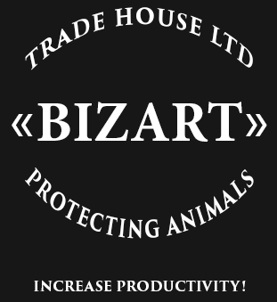 Bizart, increase productivity
