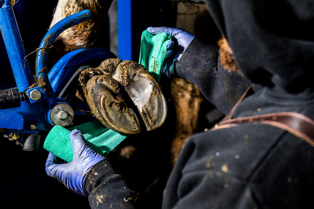 Бинт Intra Hoof-fit