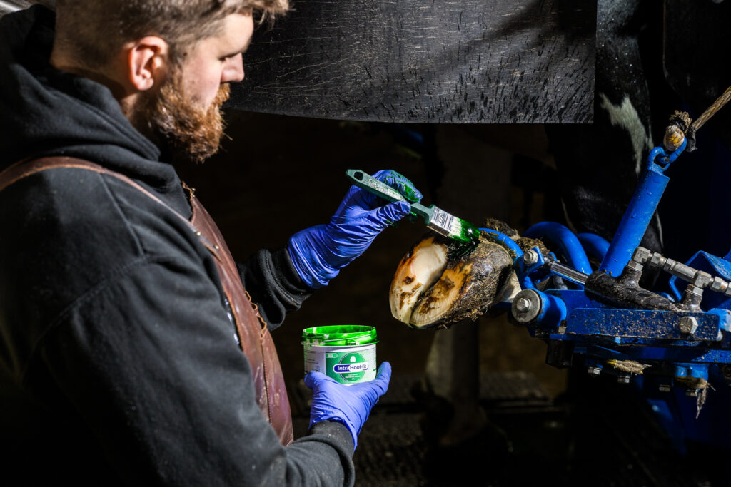 Гель Intra Hoof-fit