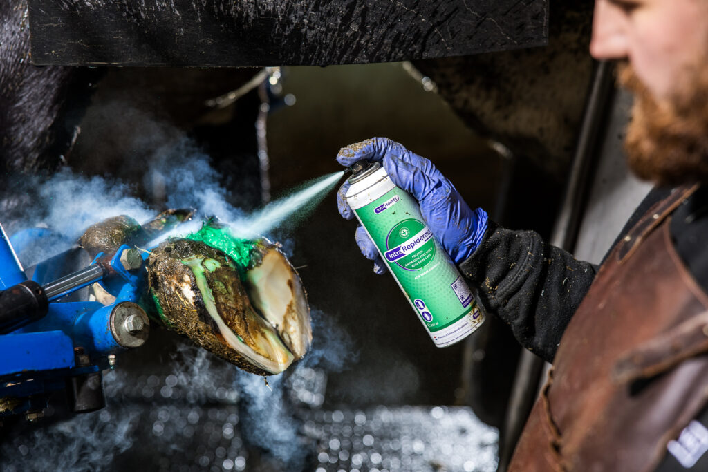 Спрей Intra Repiderma