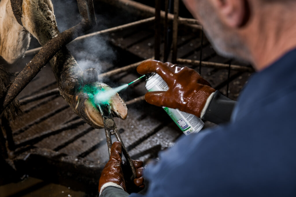 Спрей Intra Repiderma