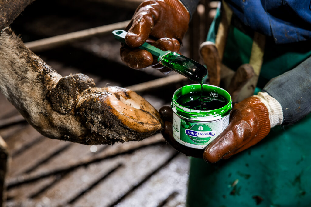 Гель Intra Hoof-fit