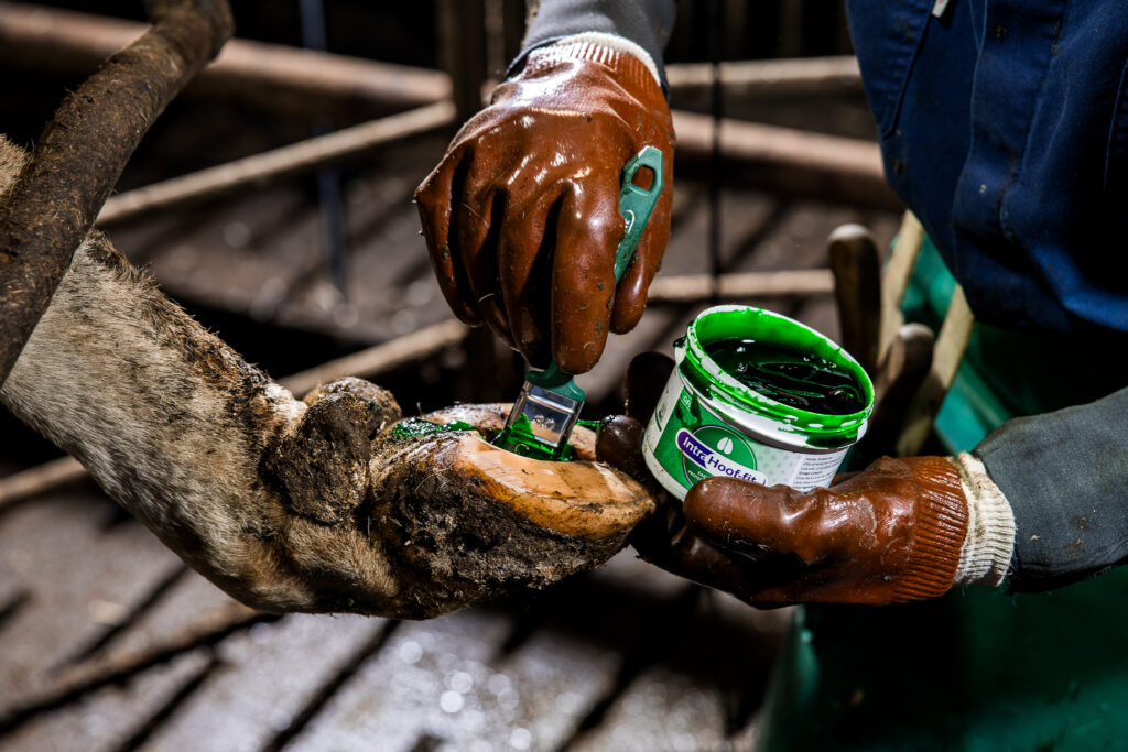 Гель Intra Hoof-fit