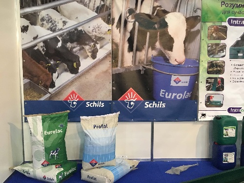 Х Юбилейный международный молочный конгресс