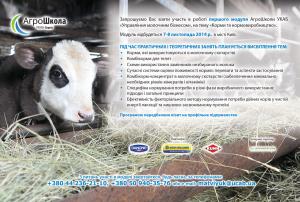 Первый модуль проекта АгроШколы УКАБ «Управление молочным бизнесом»