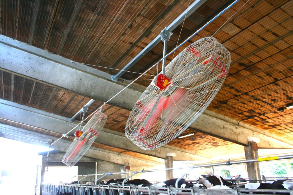 Дестратификаторы Vertigo