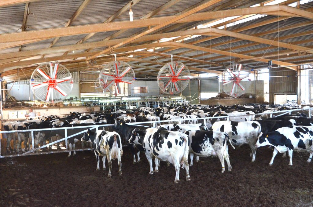 Дестратификаторы Vertigo