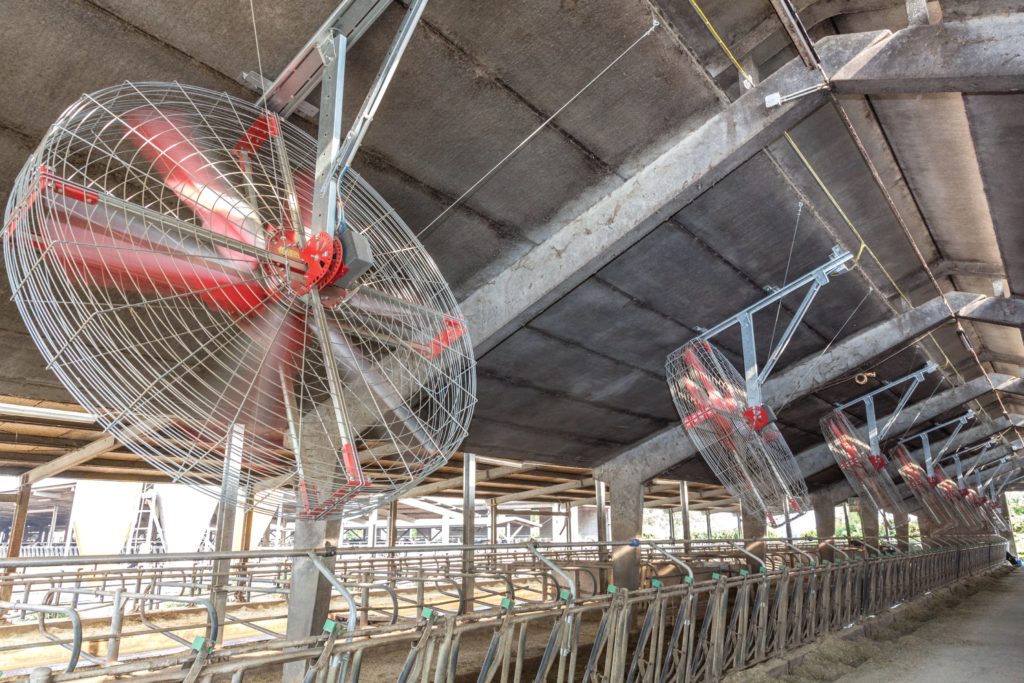 Дестратификаторы Vertigo