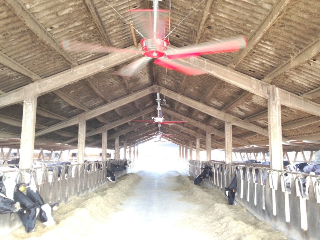 Дестратификаторы Zefiro