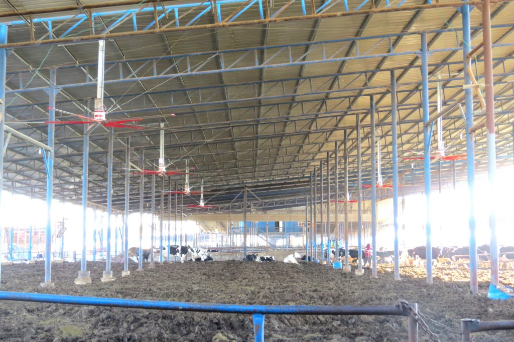 Дестратификаторы Zefiro