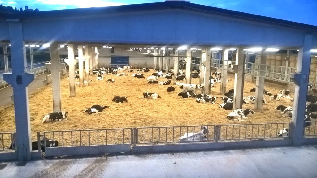 Дестратификаторы Zefiro