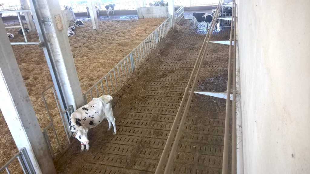 Дестратификаторы Zefiro