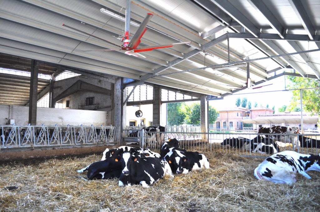 Дестратификаторы Zefiro