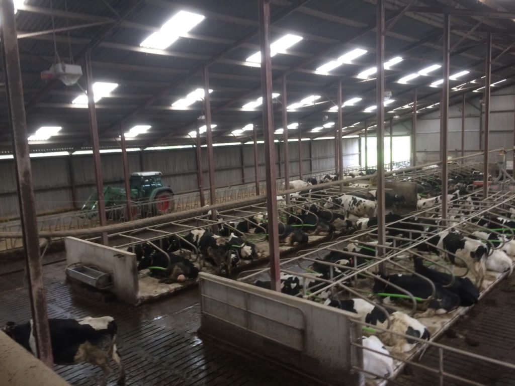 Рабочий визит к нашим партнерам Inform Nutrition