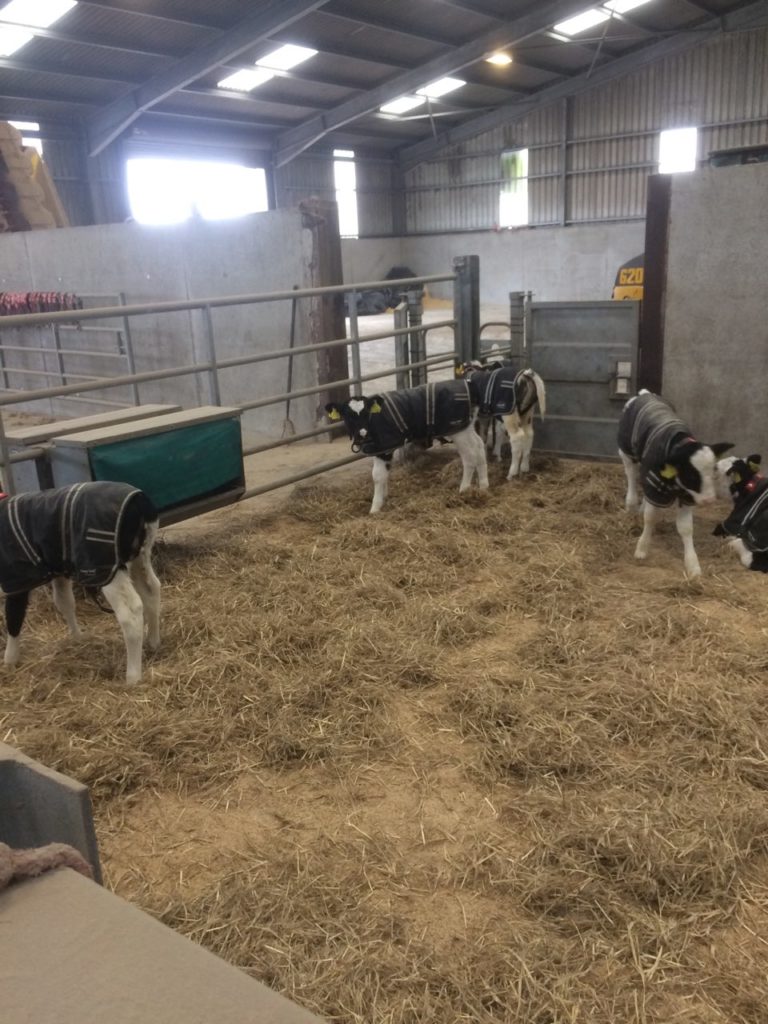 Рабочий визит к нашим партнерам Inform Nutrition