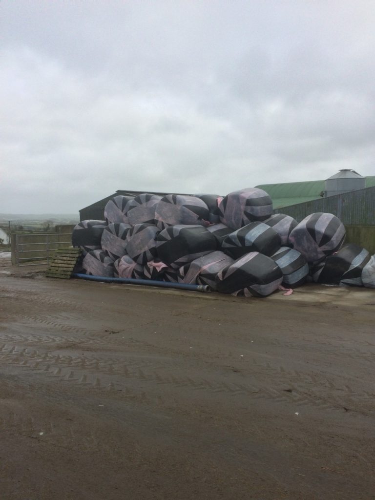 Рабочий визит к нашим партнерам Inform Nutrition