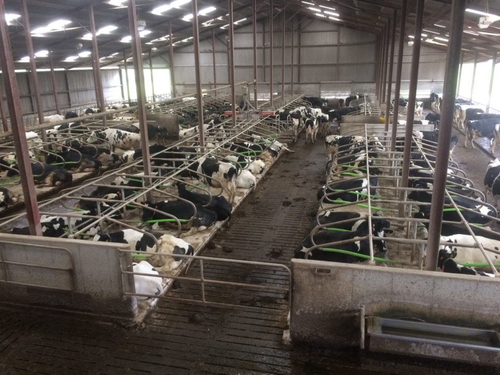 Рабочий визит к нашим партнерам Inform Nutrition