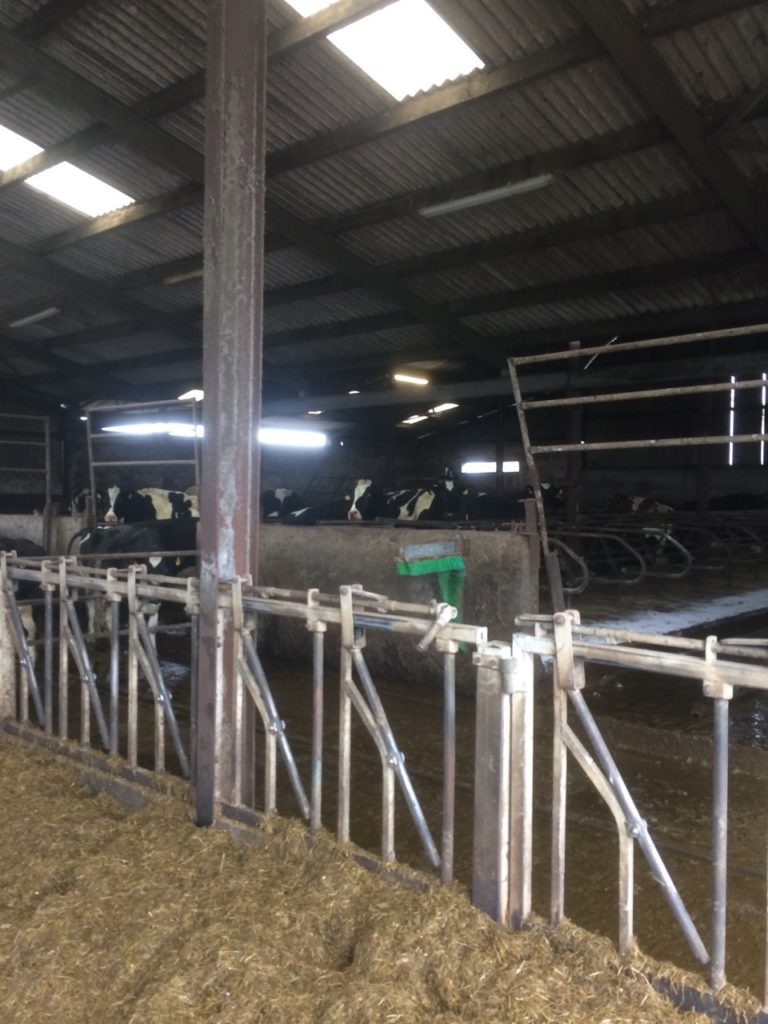 Рабочий визит к нашим партнерам Inform Nutrition