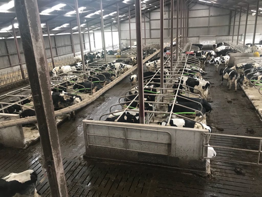 Рабочий визит к нашим партнерам Inform Nutrition