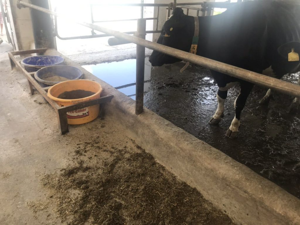 Национальный День Фермы на базе ПСП “Родина”