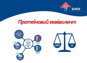 Протеиновый эквивалент.