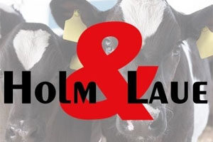 Довгоочікувана зустріч з нашими друзями та партнерами Holm & Laue.