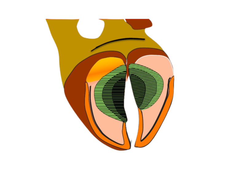 Здоровье копыт