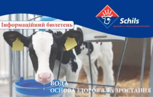 Вода основа здоровья и роста