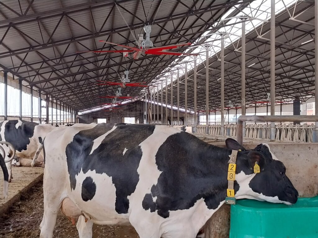 Установка вентиляторов СМР в СООО «СКИФ»