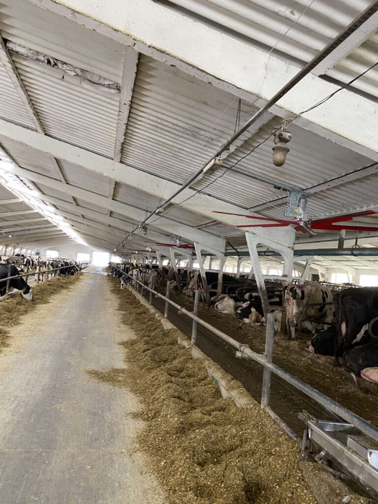 Установка вентиляторов СМР в ООО «ГАДЗ-АГРО»