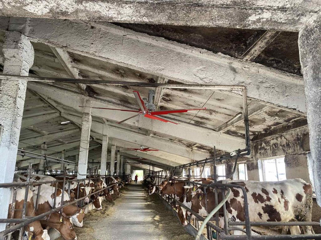 Установка вентиляторов СМР в СООО «РЖАВЕЦКОЕ»