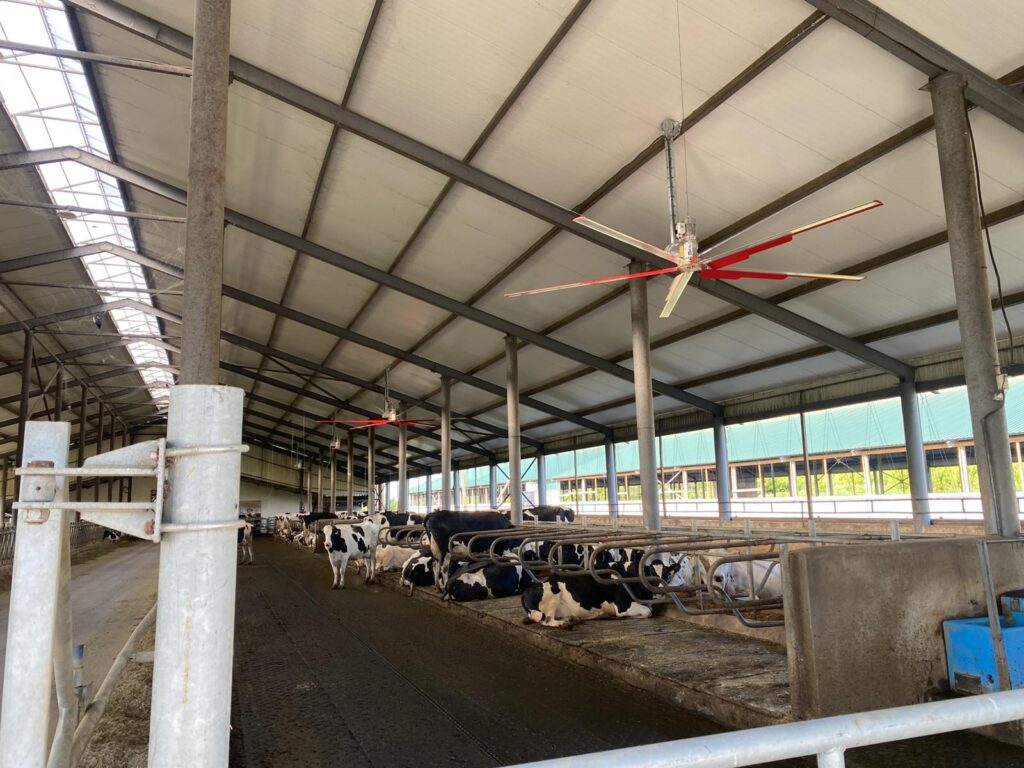 Установка вентиляторов СМР в ООО “АГРО ЭКО МЕЛК”