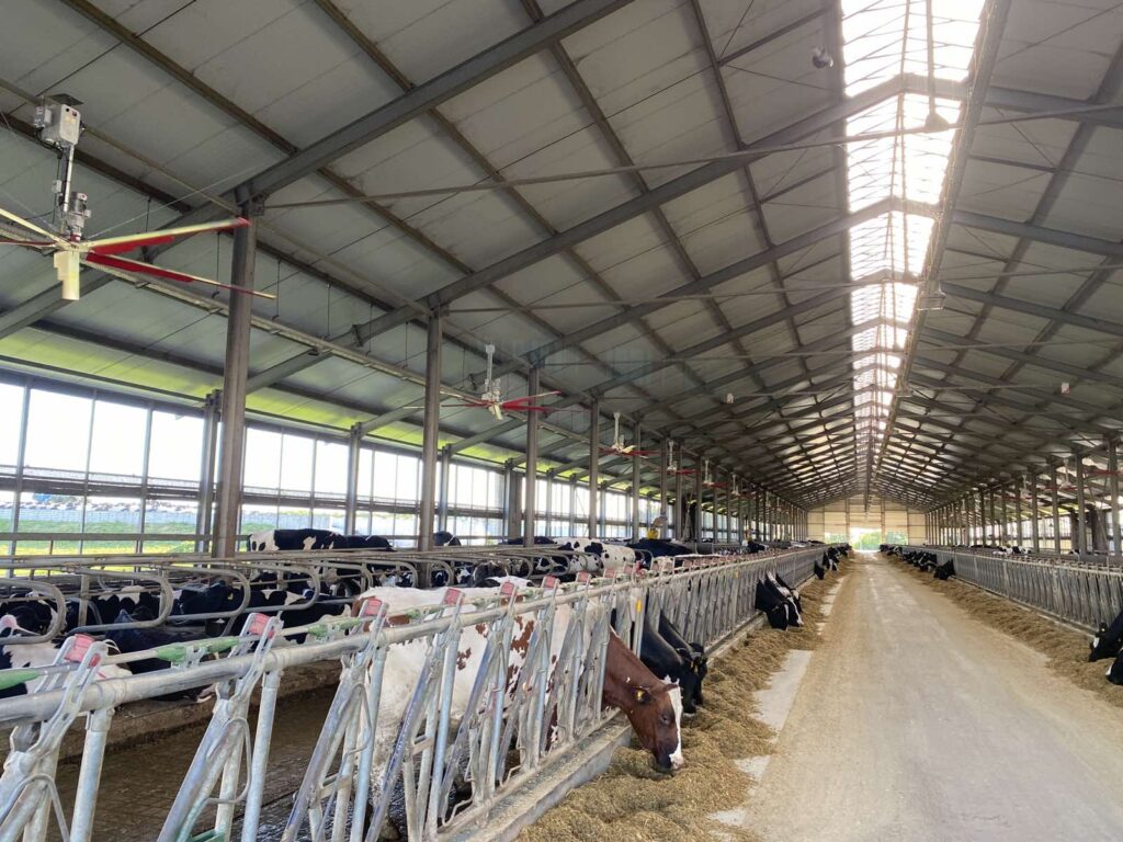 Установка вентиляторов СМР в ЧАФ “ЕРЧИКИ”