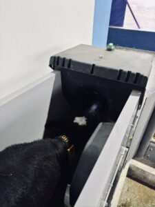 Установка автоматической кормушки ООО “ВОЛОЧИСК-АГРО”